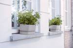 greenville trough long 70cm living concrete